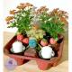 Upcycled Drinks Tray Fall Centerpiece
